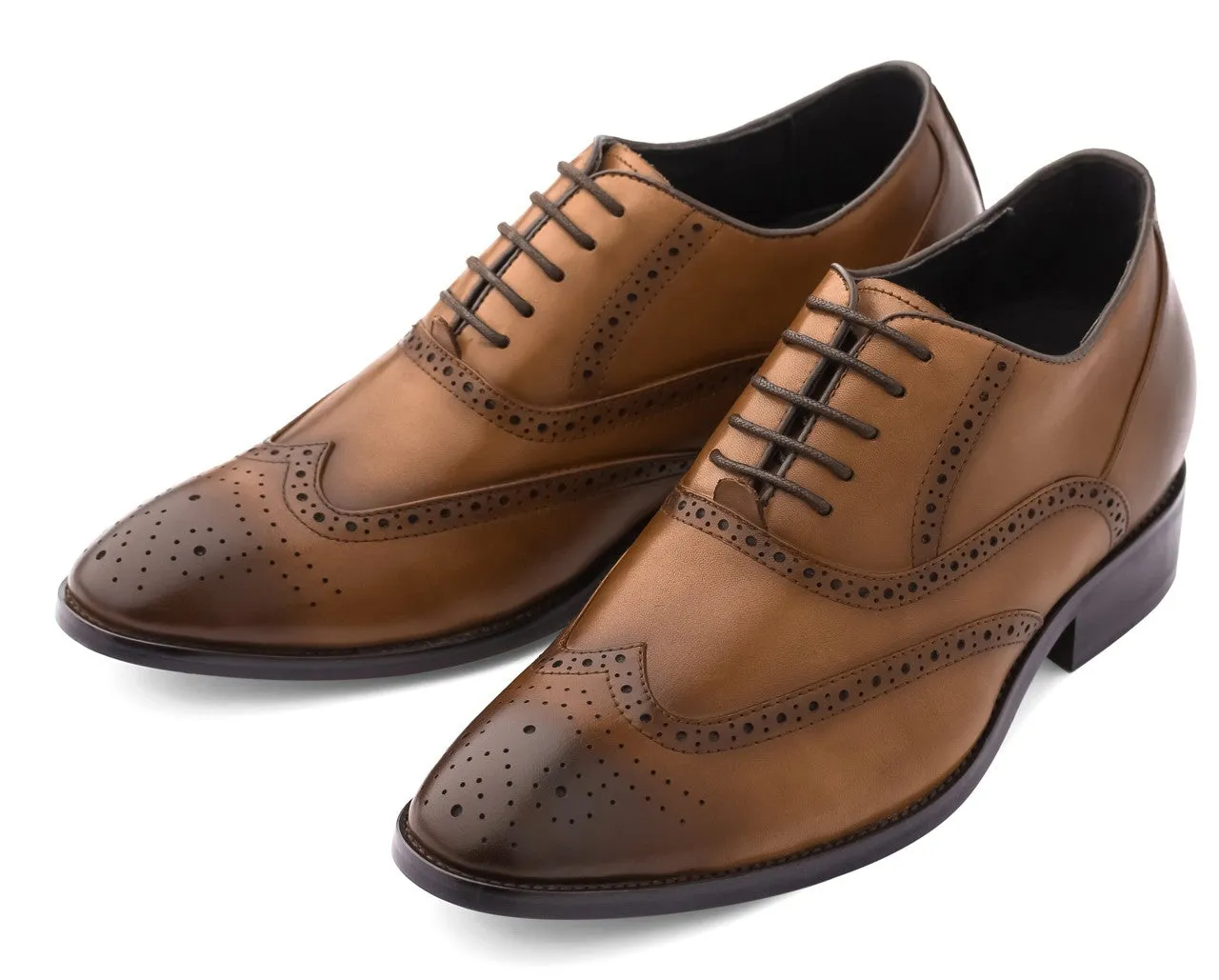 TOTO Brown Leather Oxford Dress Shoes - Three Inches - A2621C